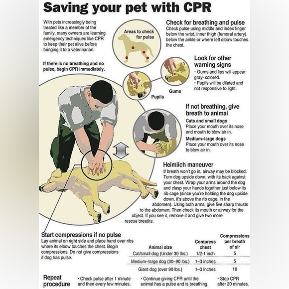 $1 DOG PIN/BROOCH. ENAMEL/METAL. NEW. $1 WITH ANY $10 ORDER OR MORE - Picture 8 of 16